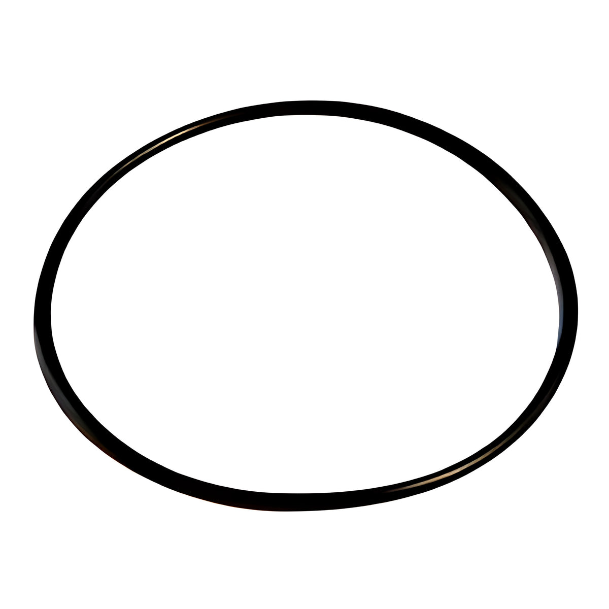 O Ring for Blue Cartridge (x1)